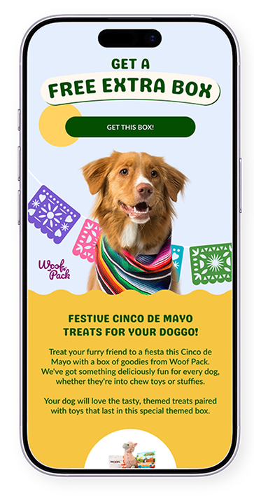 Email marketing example on iPhone